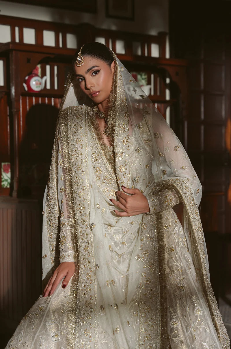Gilded Nikah Bridal (D-06)