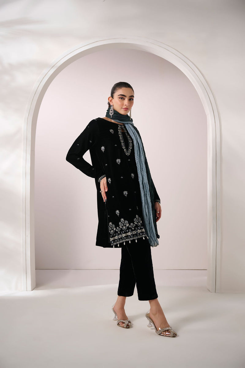 Embellished Velvet Pants (As Shown)