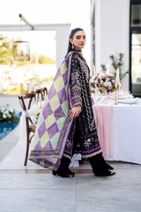 SS25DD-2690 BLACK DUPATTA