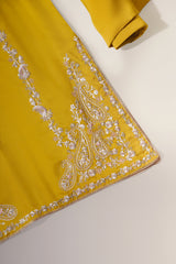 Haldi Rasm
