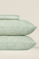 Dgbd-004 T-200-1 Bed Sheet Set