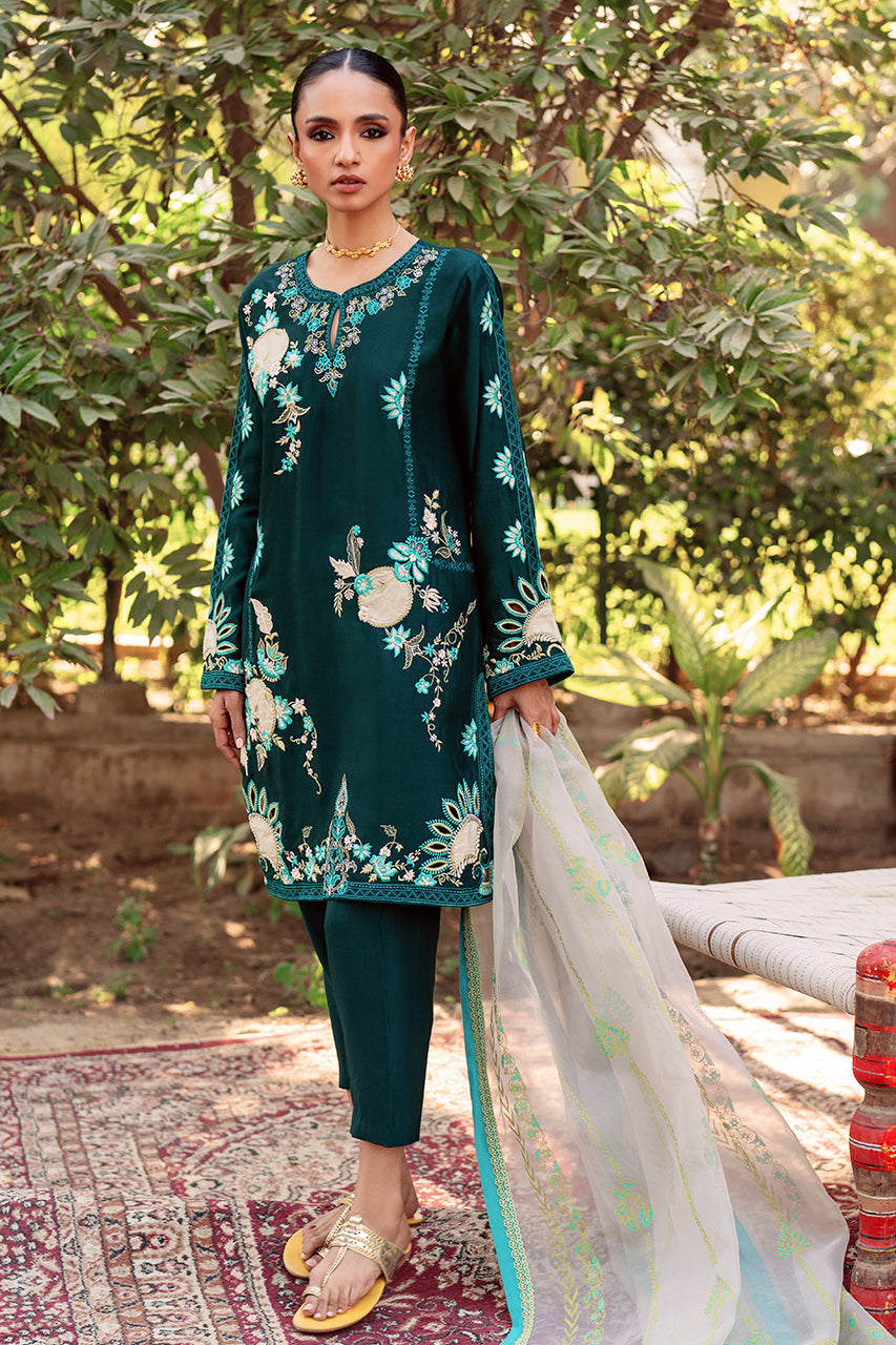 Zeba RTD