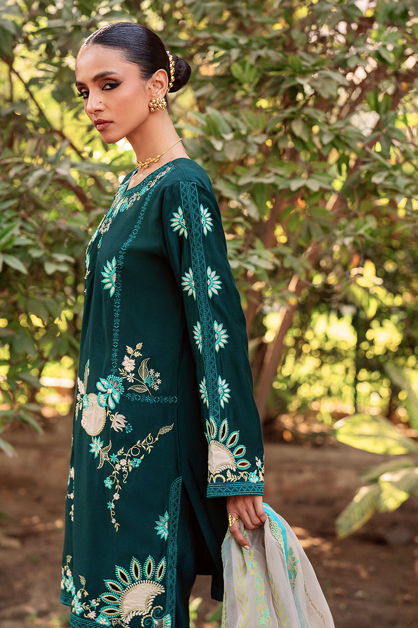 Zeba RTD