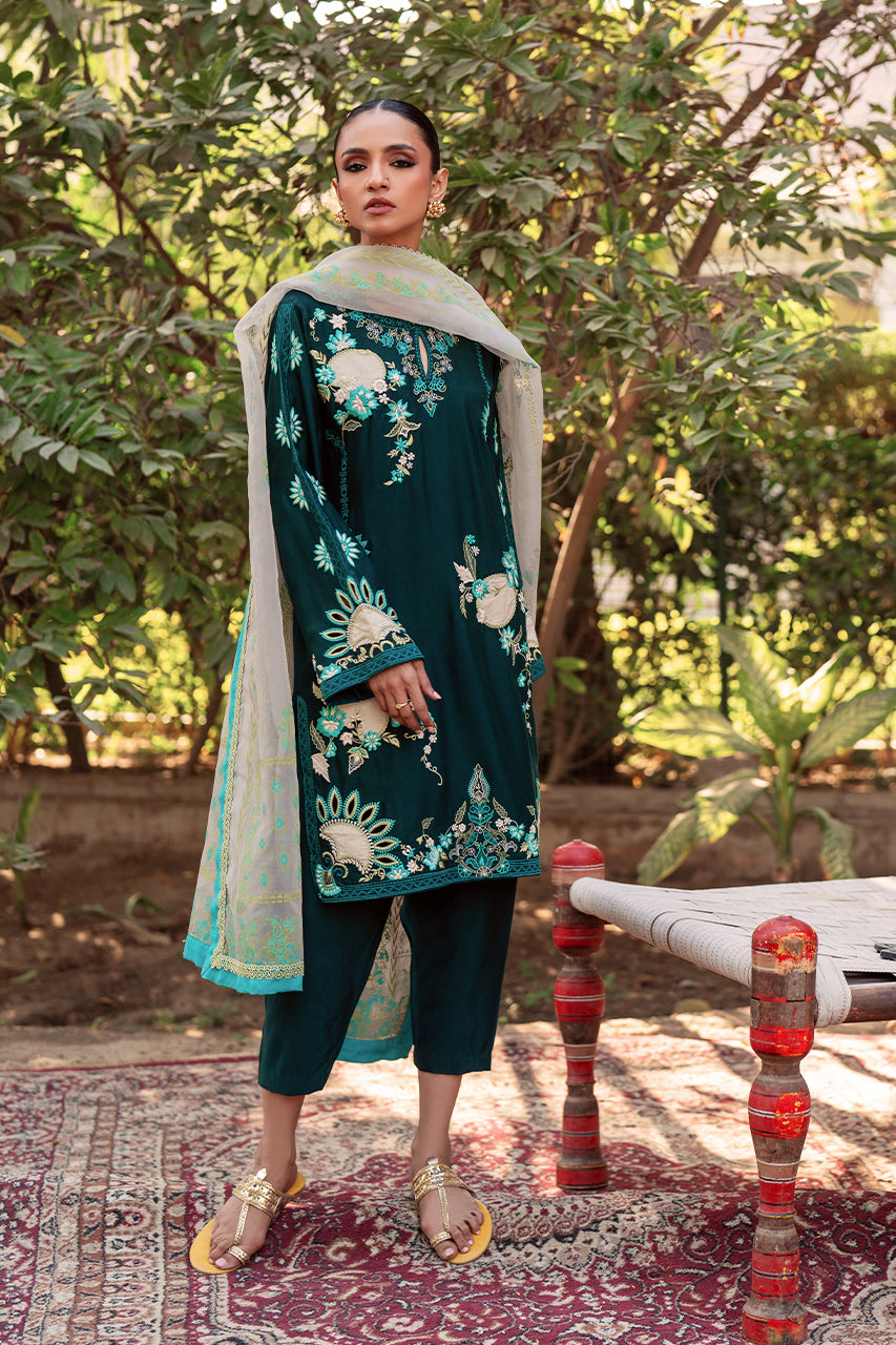 Zeba RTD
