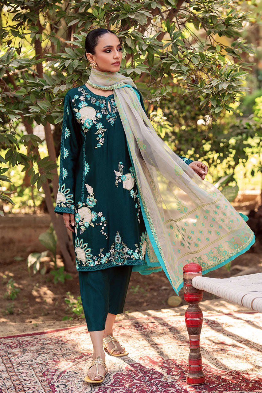 Zeba RTD