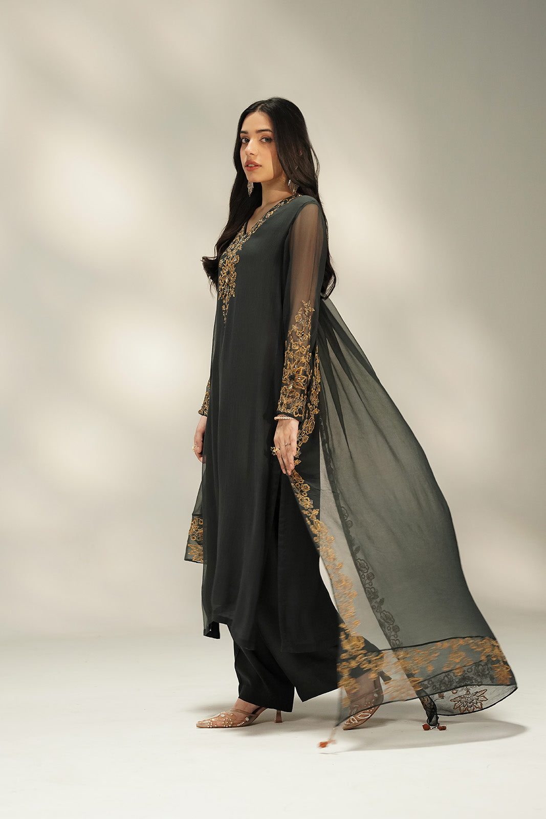 3 Piece Chiffon Embroidered Suit (FL0239)