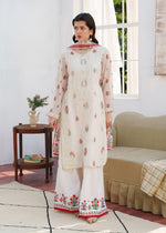 Long kurta Straight trouser CRP25-02