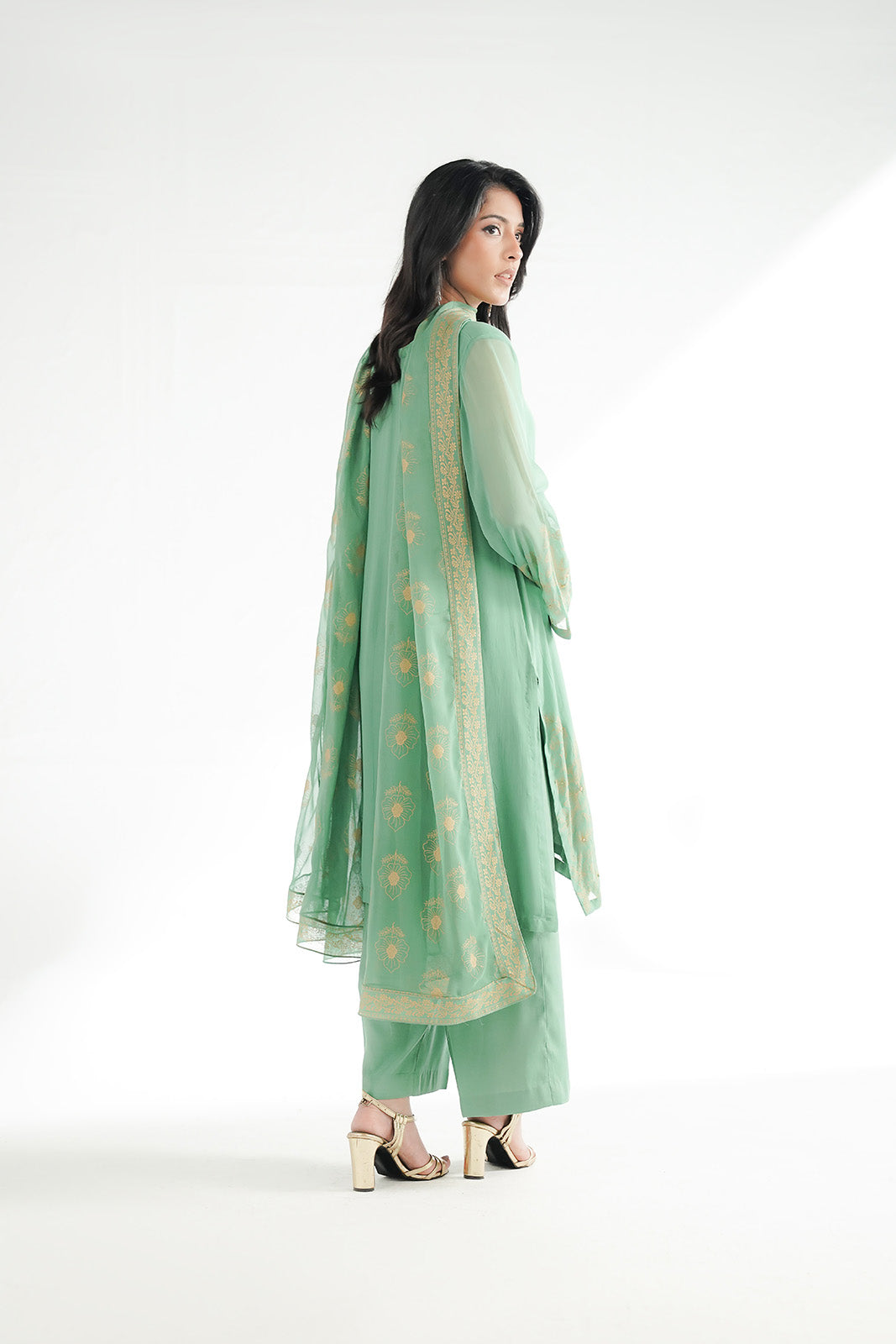 3 Piece Chiffon Embroidered Suit (FS0204)