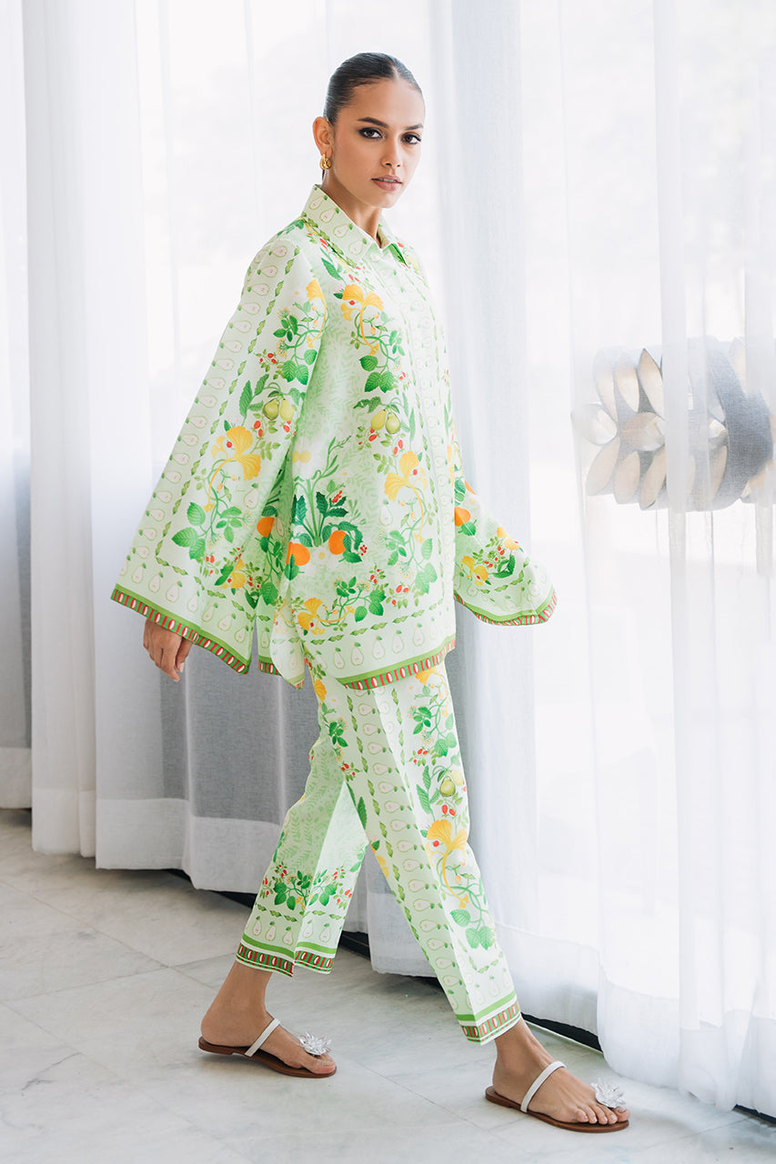 https://cdn.shopify.com/s/files/1/0588/3661/5221/files/DSC03617.jpg?v=1751622768