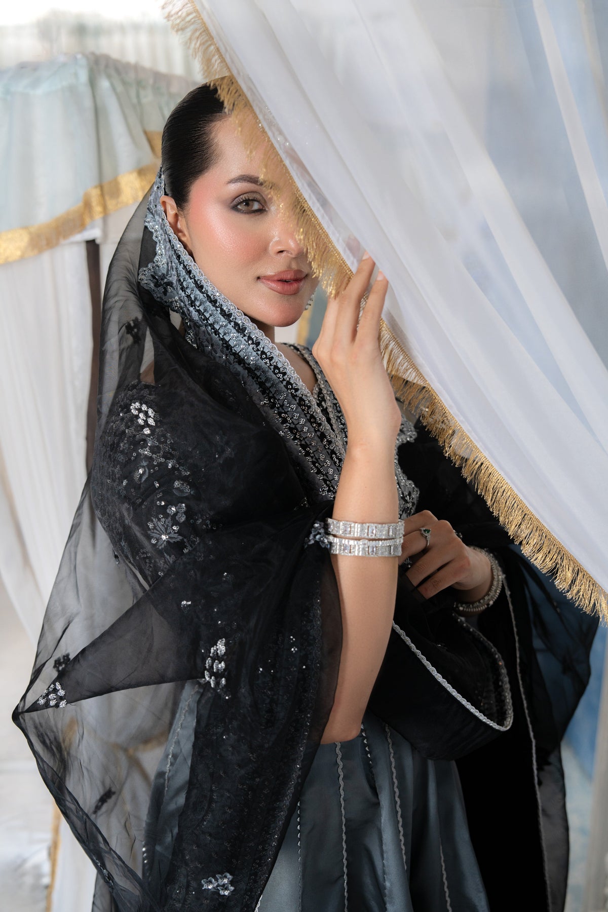 Aneelas Silk Emb Maxi Organza Duppata [BR-36] [Dispatch Time 2.5 Months]