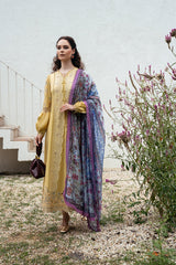 My-16 Ready To Wear