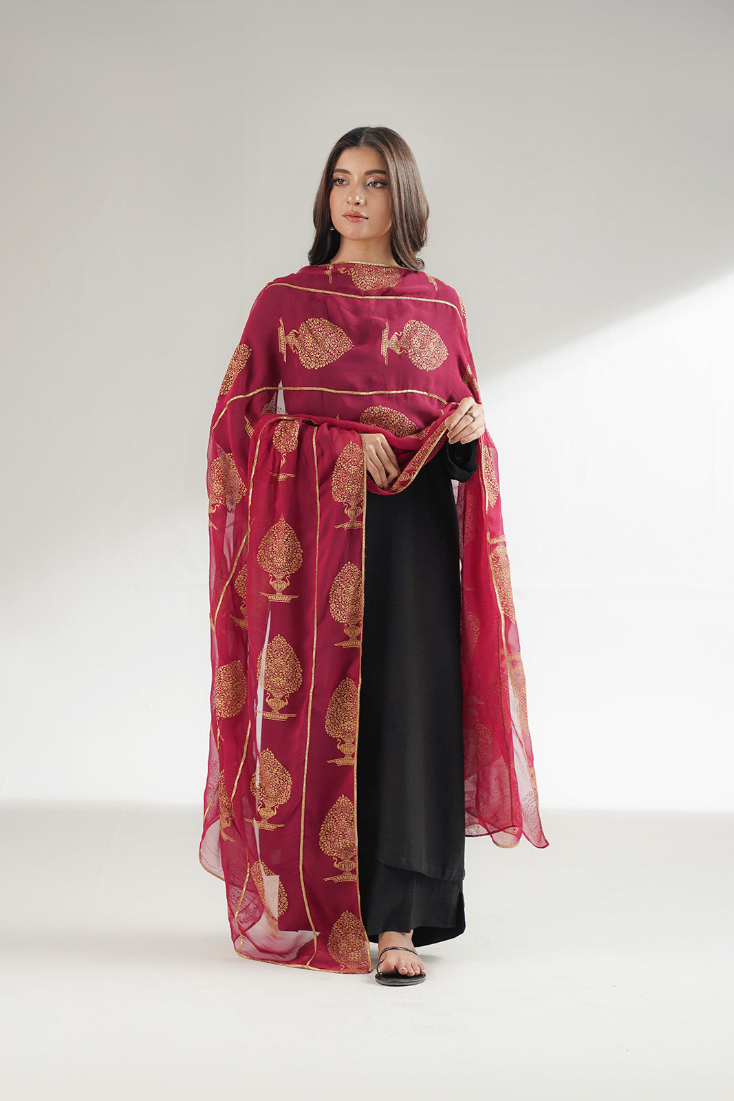 1 Piece Chiffon Printed Stole (CO0043)