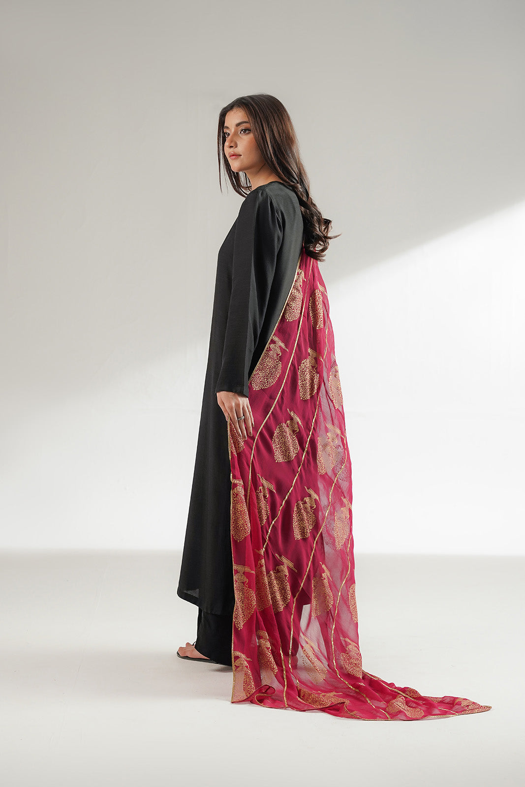 1 Piece Chiffon Printed Stole (CO0043)