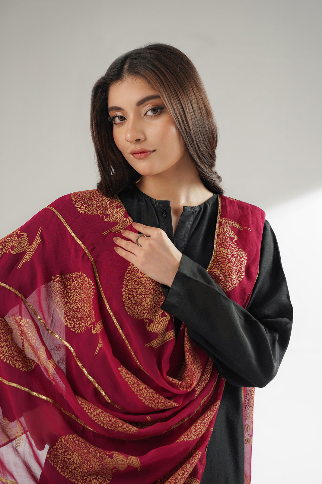 1 Piece Chiffon Printed Stole (CO0043)