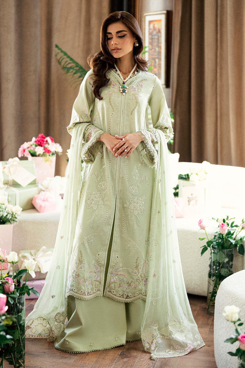 https://cdn.shopify.com/s/files/1/2044/1461/files/DSC06623.jpg?v=1740655216