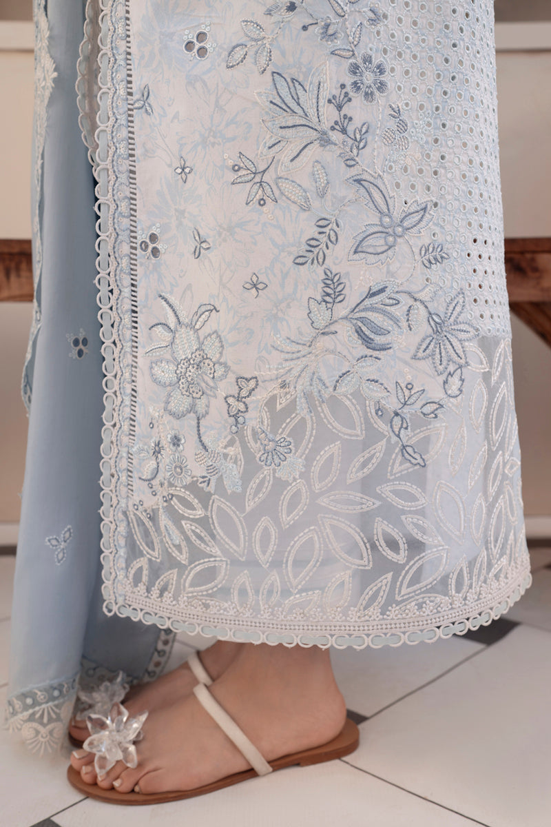 https://cdn.shopify.com/s/files/1/2044/1461/files/DSC07184.jpg?v=1741882125