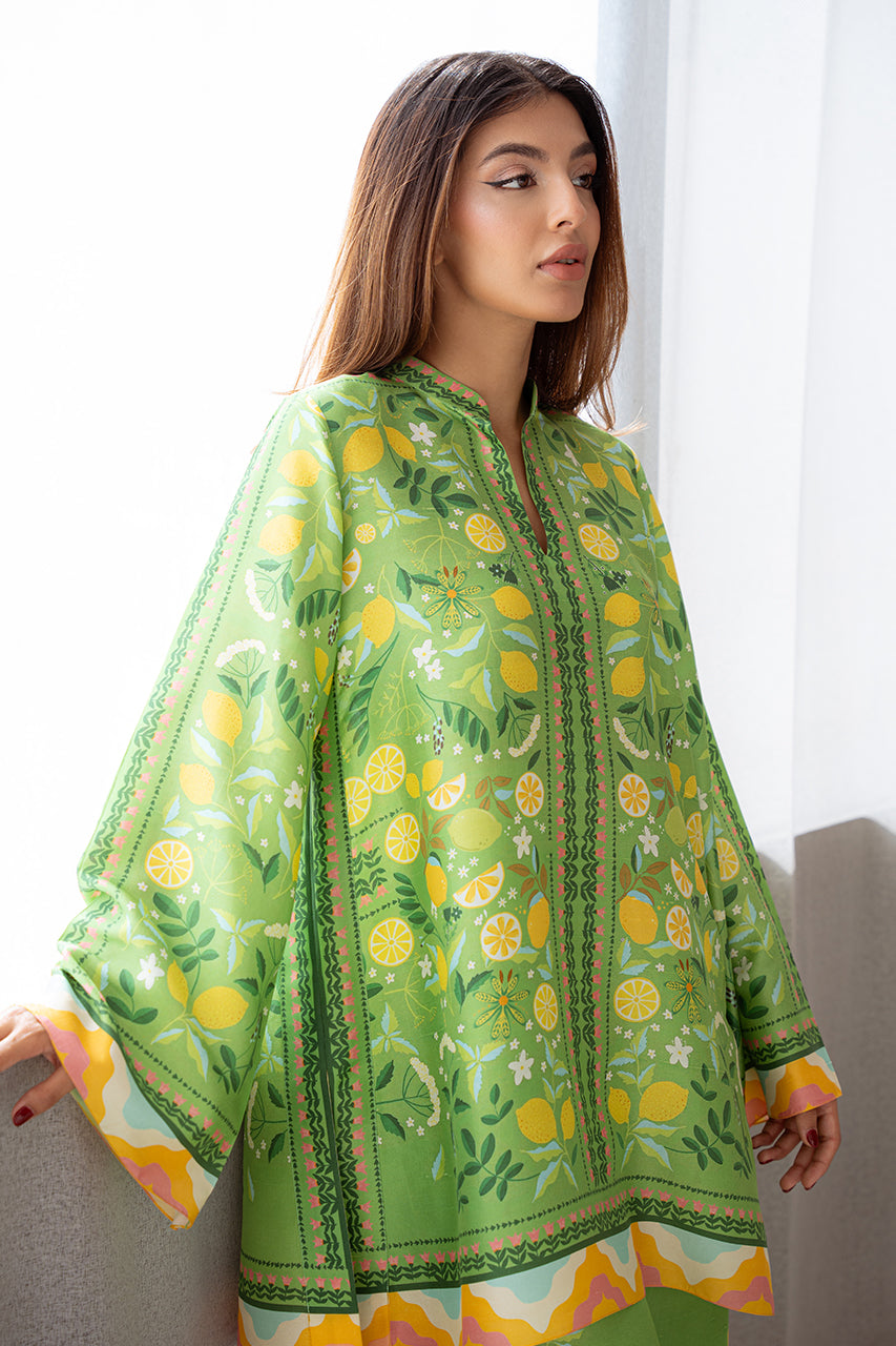 https://cdn.shopify.com/s/files/1/0588/3661/5221/products/DSC07701.jpg?v=1751622848