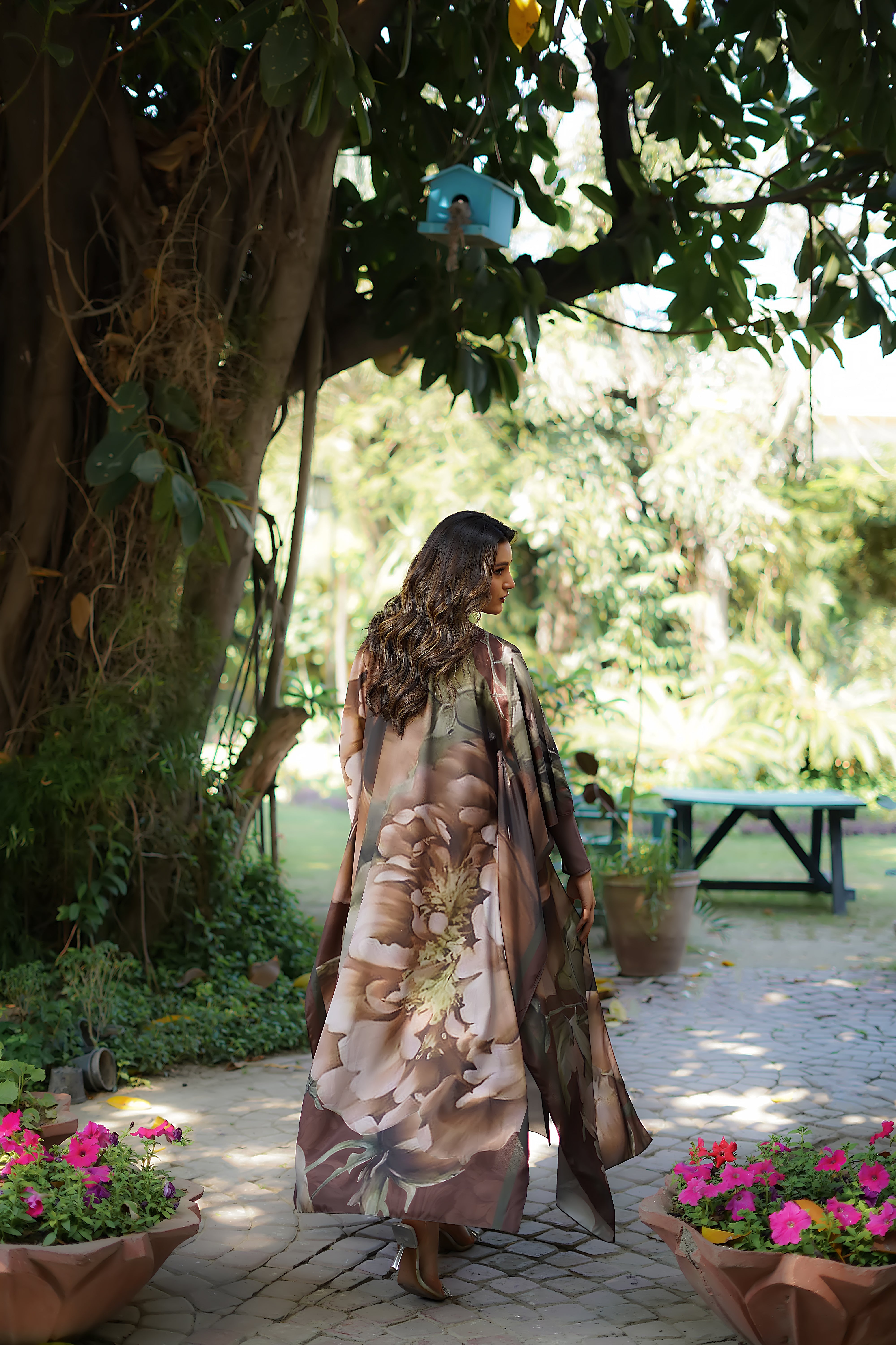 Enchanted Forest