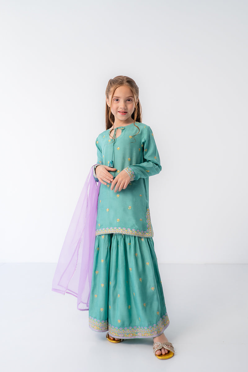 https://cdn.shopify.com/s/files/1/0568/3308/1529/files/DSC08825copy.jpg?v=1736854440