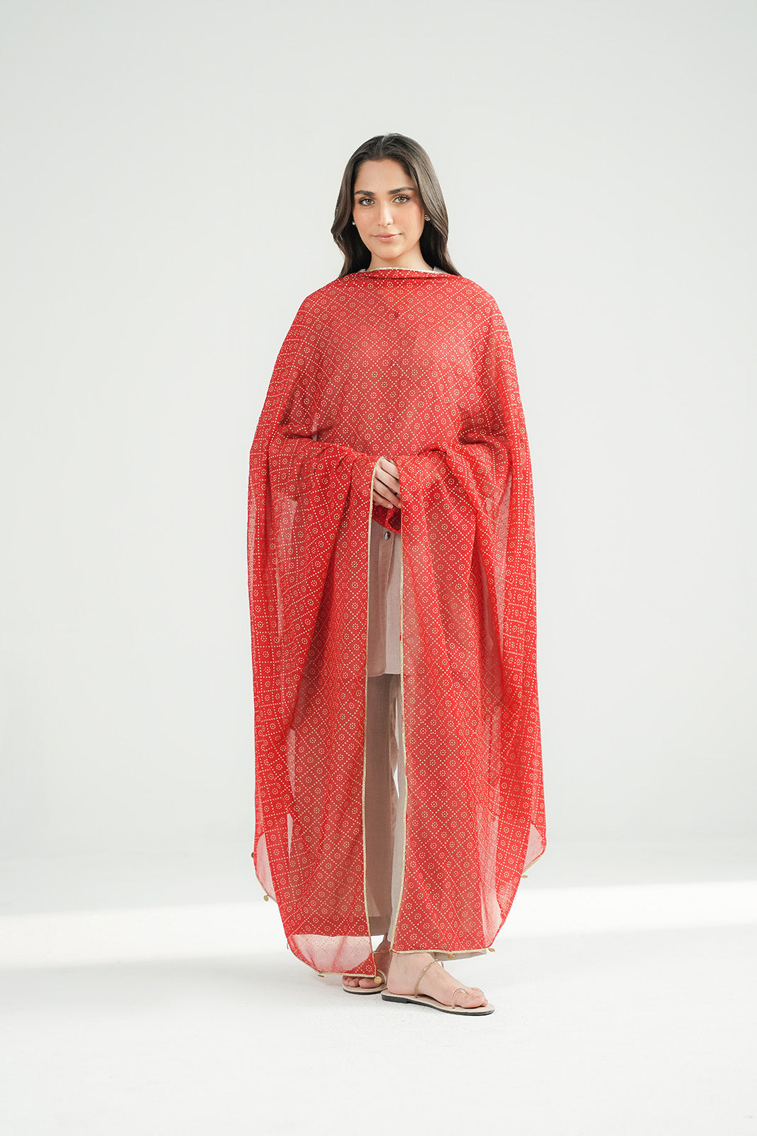 1 Piece Printed Chiffon Printed Stole (CO0031)