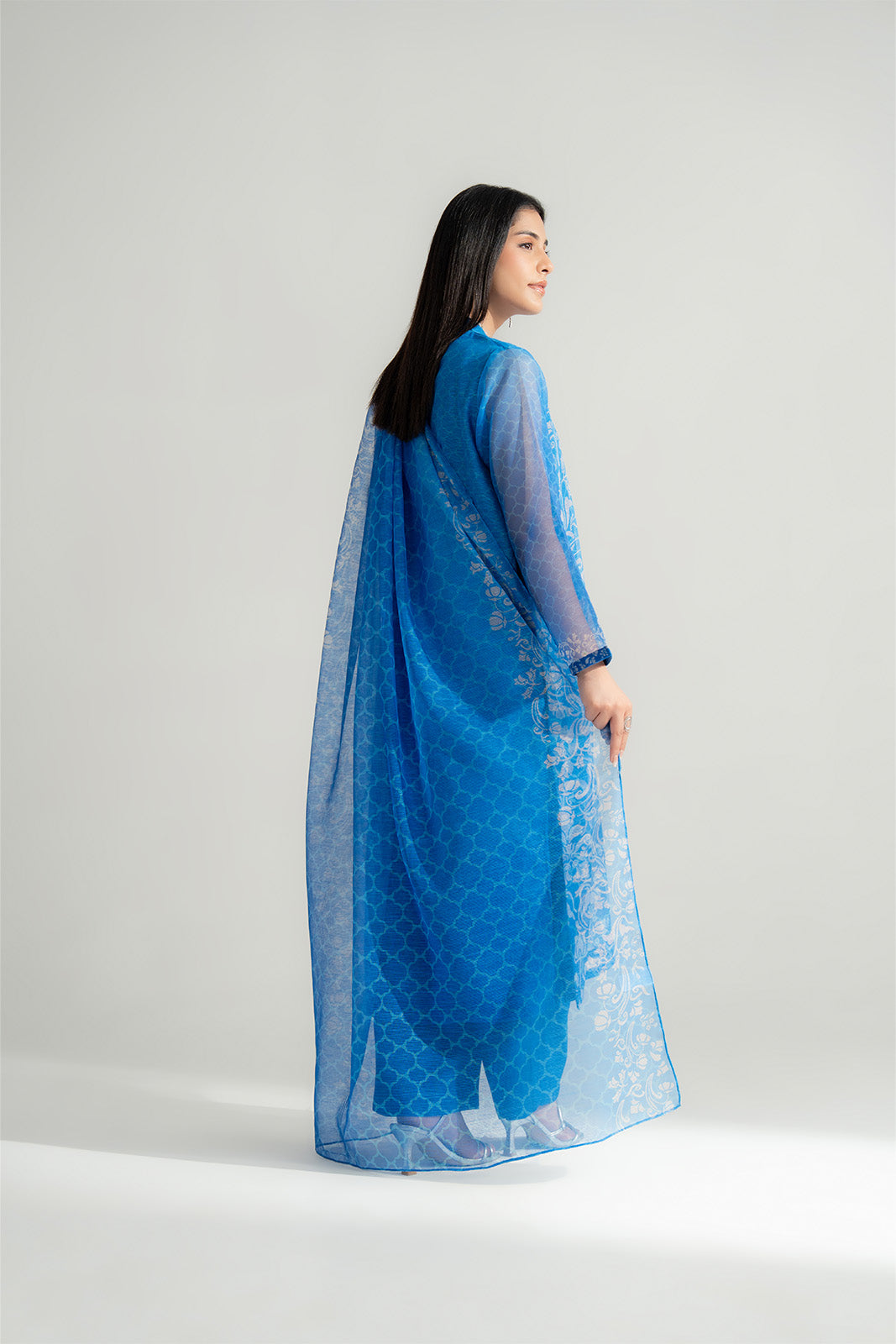 3 Piece Rajo Net Printed Embroidered Suit (FS0152)