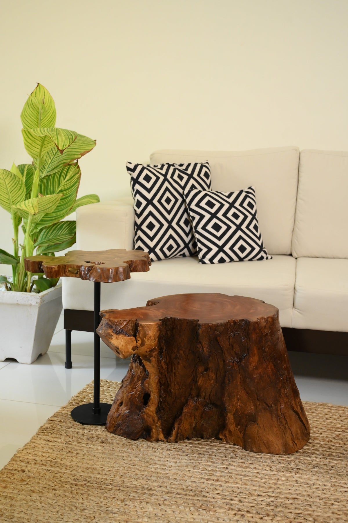 Sheesham Coffee Table Set of 2