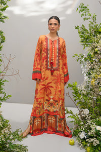 Tangerine RTD