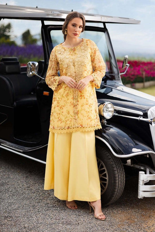 3 Piece Embroidered Cotton Net Suit | DW-EF26-16-YELLOW