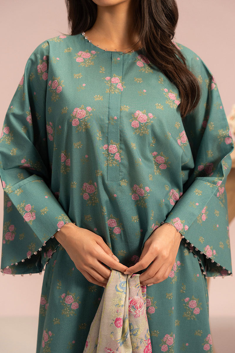 https://cdn.shopify.com/s/files/1/0178/4492/8612/files/DailyLawn_0025_DSC03473.jpg?v=1750241138