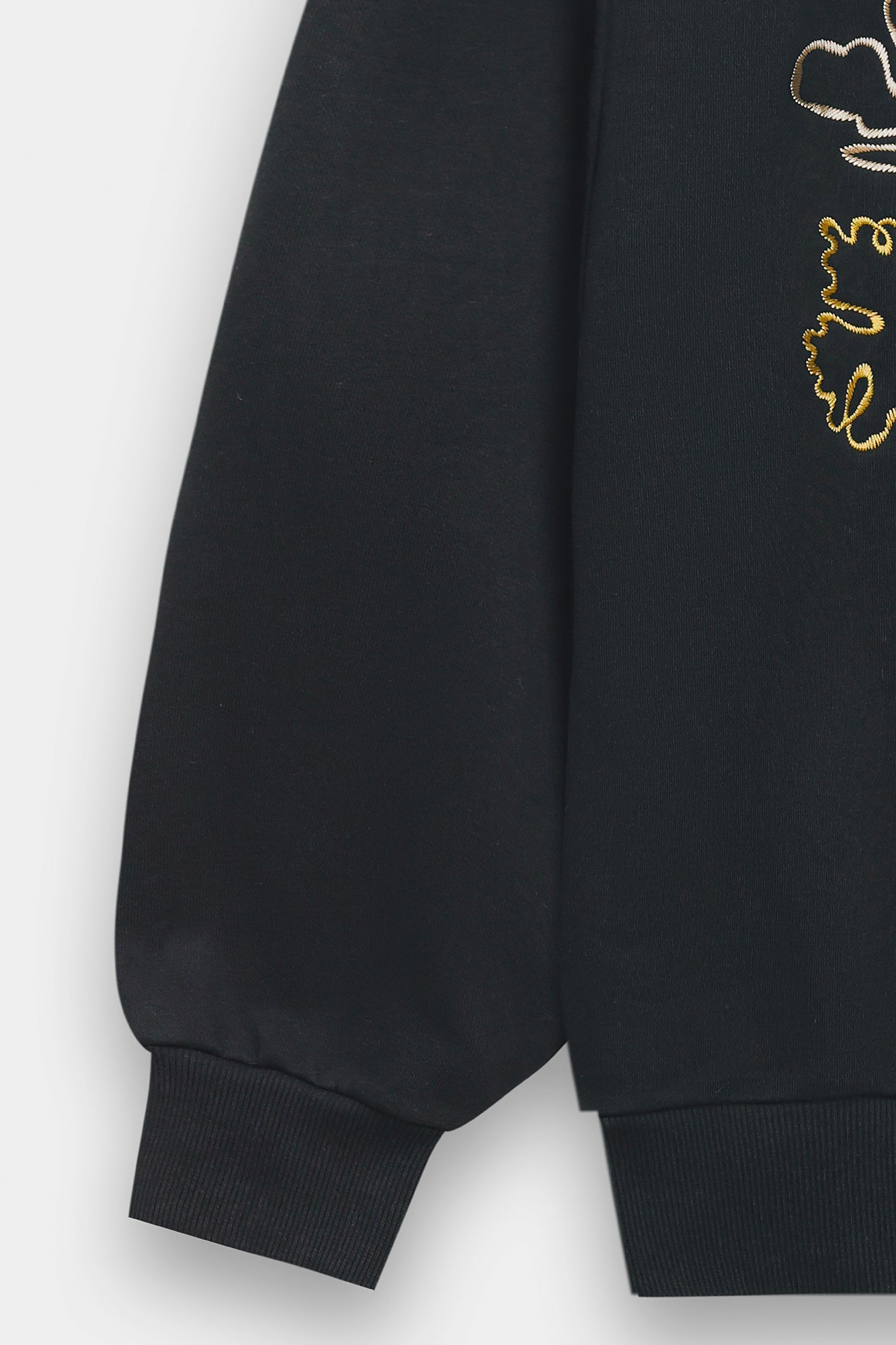 SWEATSHIRT (E0169/120/901)