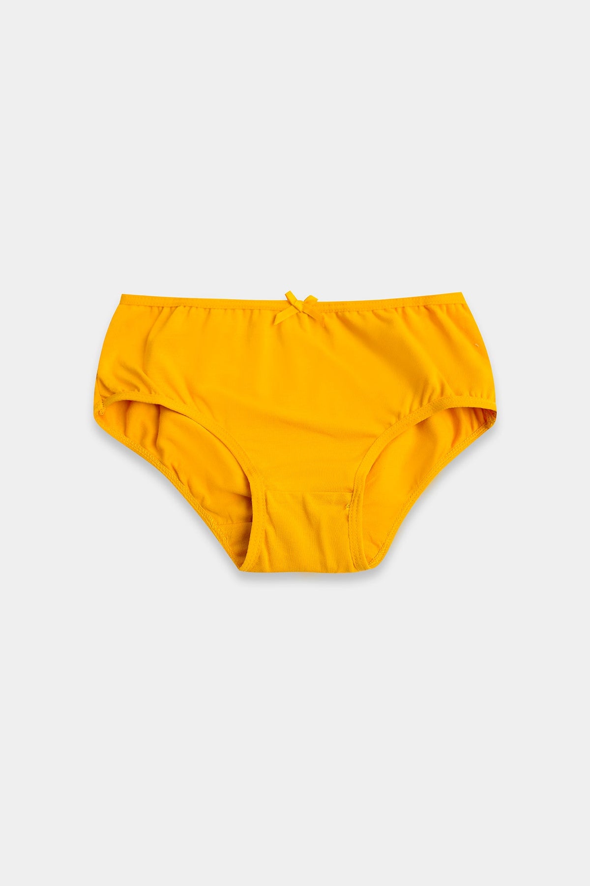 BRIEFS (E0410/411/998)