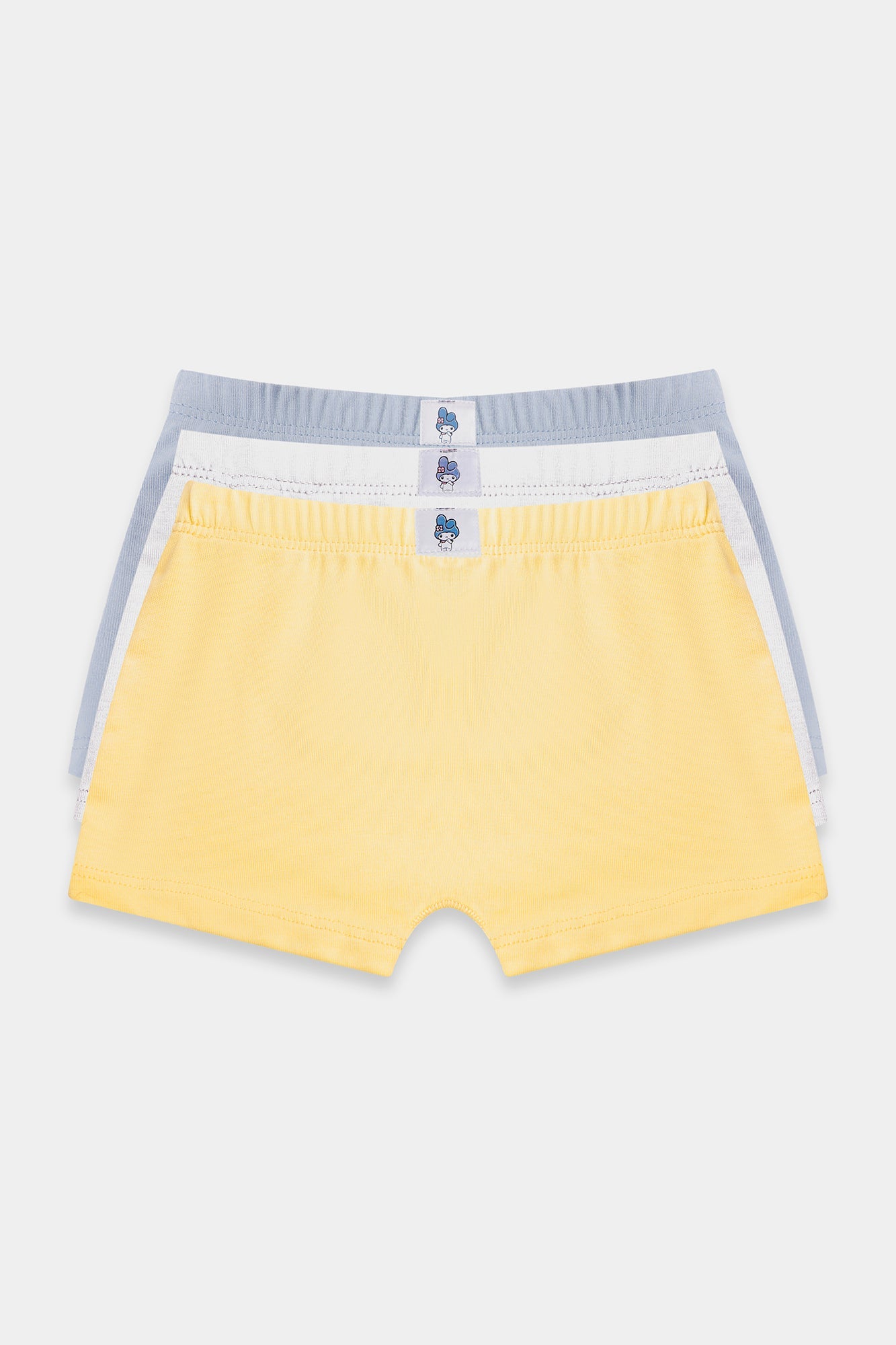 BRIEFS (E0415/411/998)
