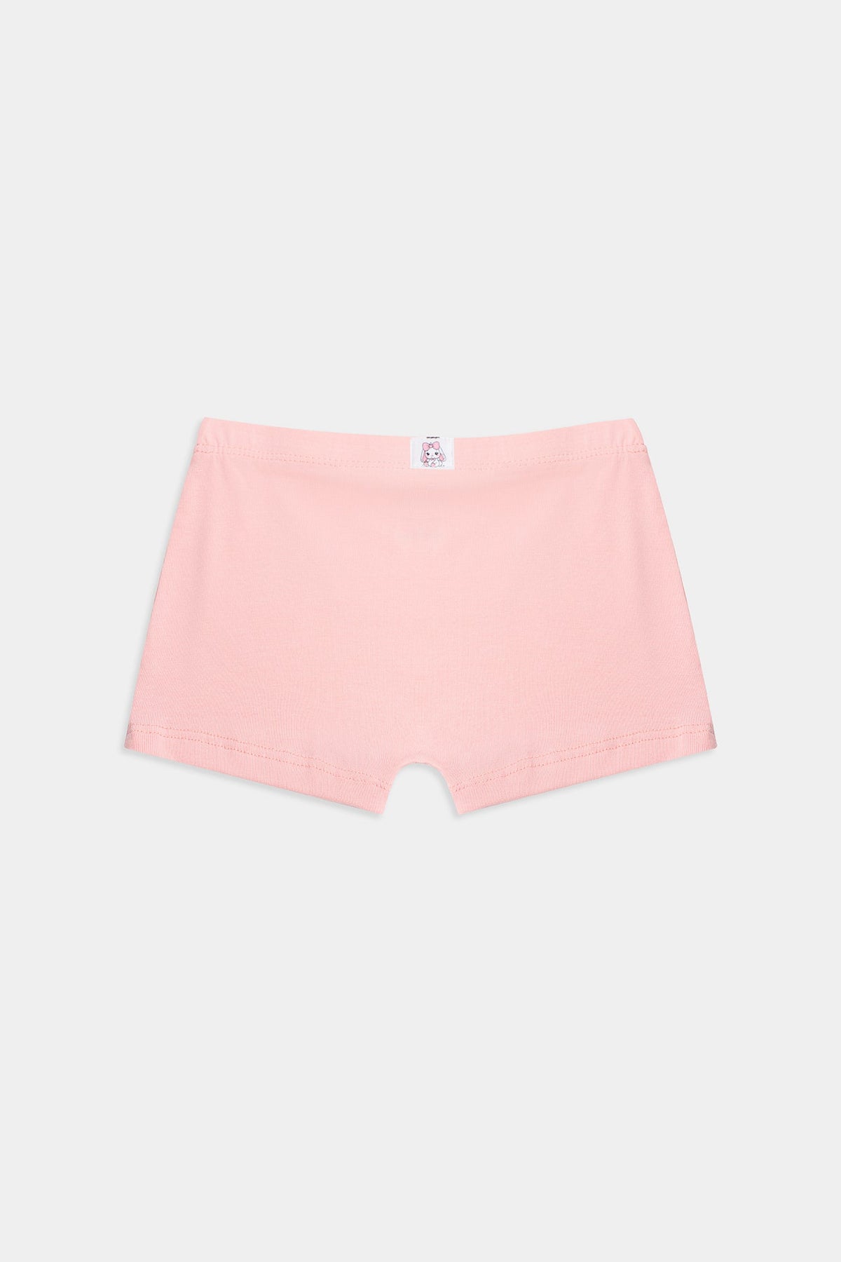 BRIEFS (E0420/411/998)