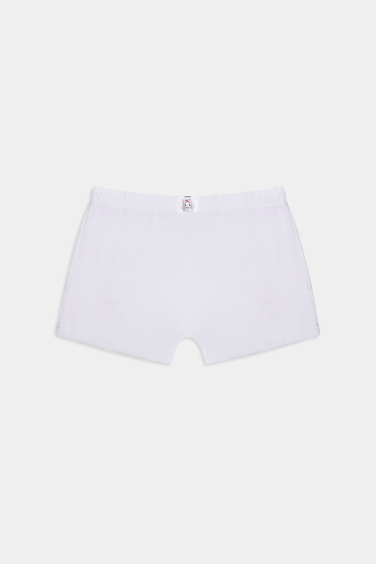 BRIEFS (E0420/411/998)
