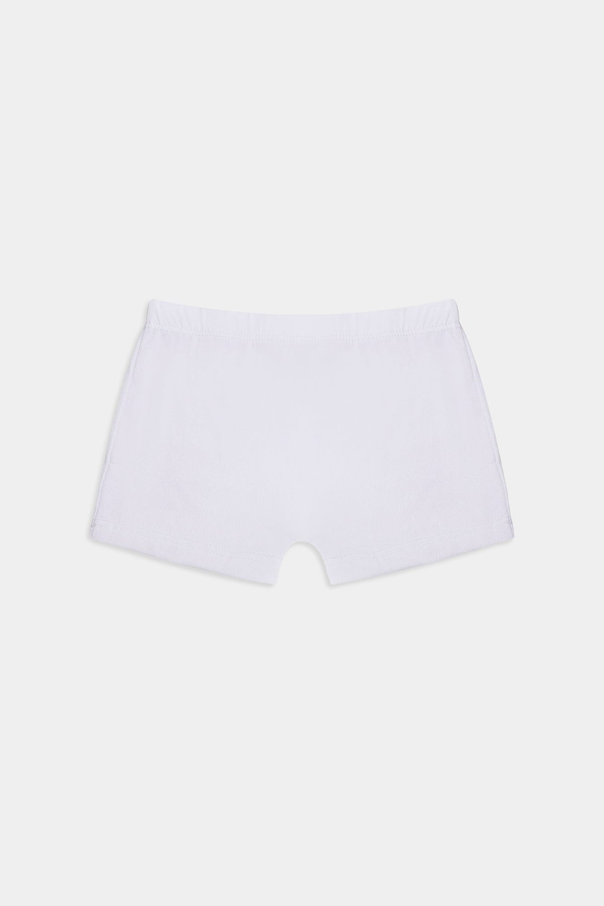 BRIEFS (E0420/411/998)