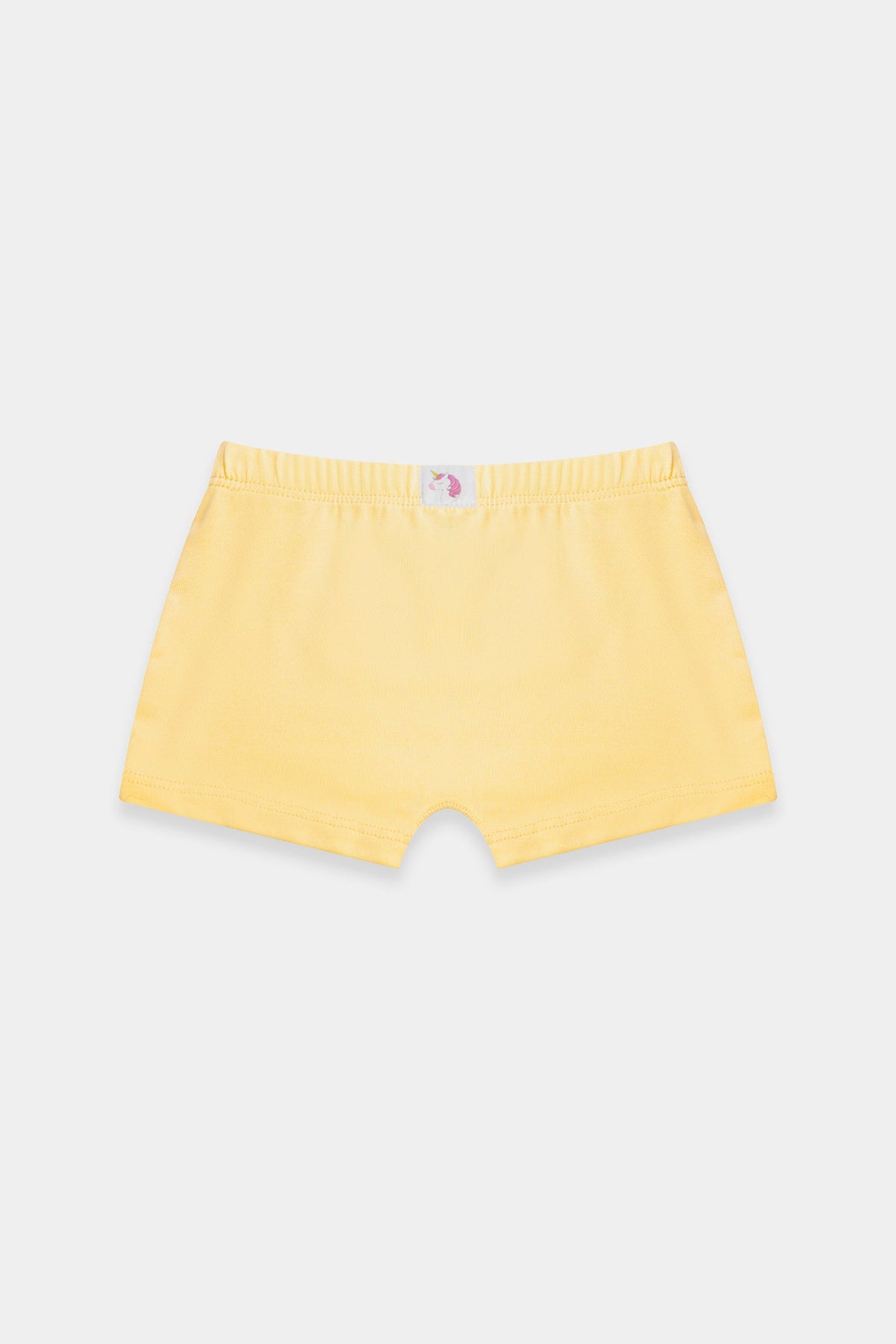 BRIEFS (E0421/411/998)