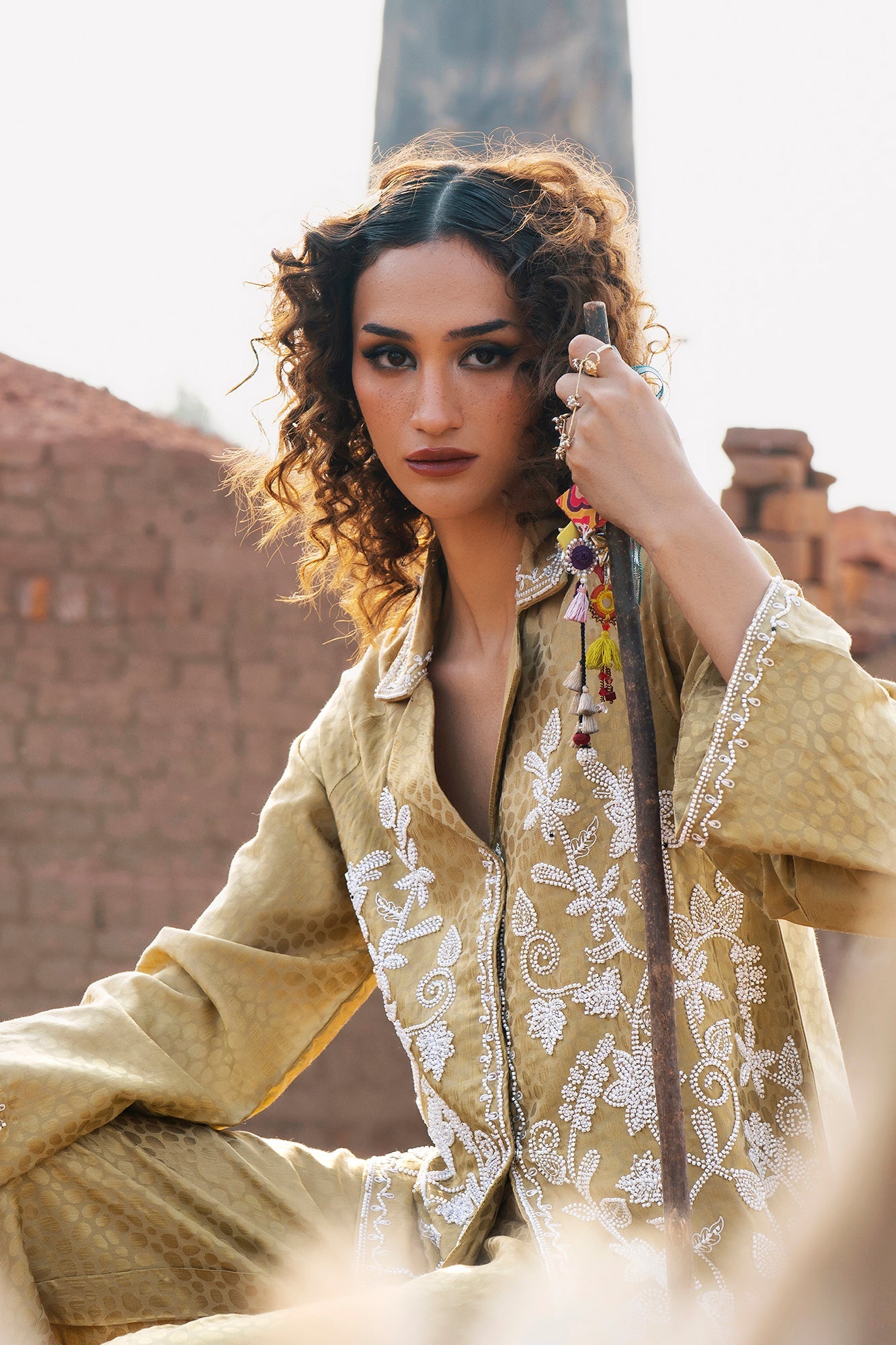Embroidered Chiffon Saree