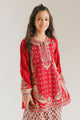 EMBROIDERED SUIT (E0807/404/301 E0807/304/301)