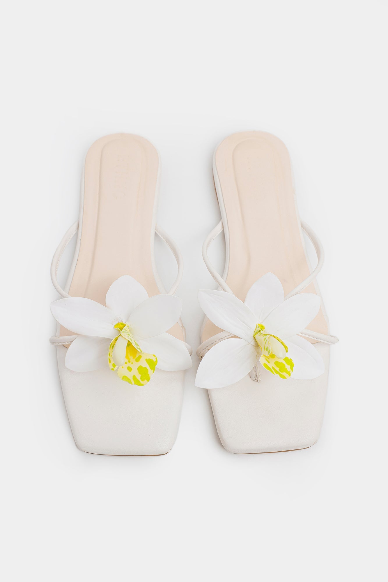 https://cdn.shopify.com/s/files/1/2290/7917/files/E1098-109-001_1.jpg?v=1770961135