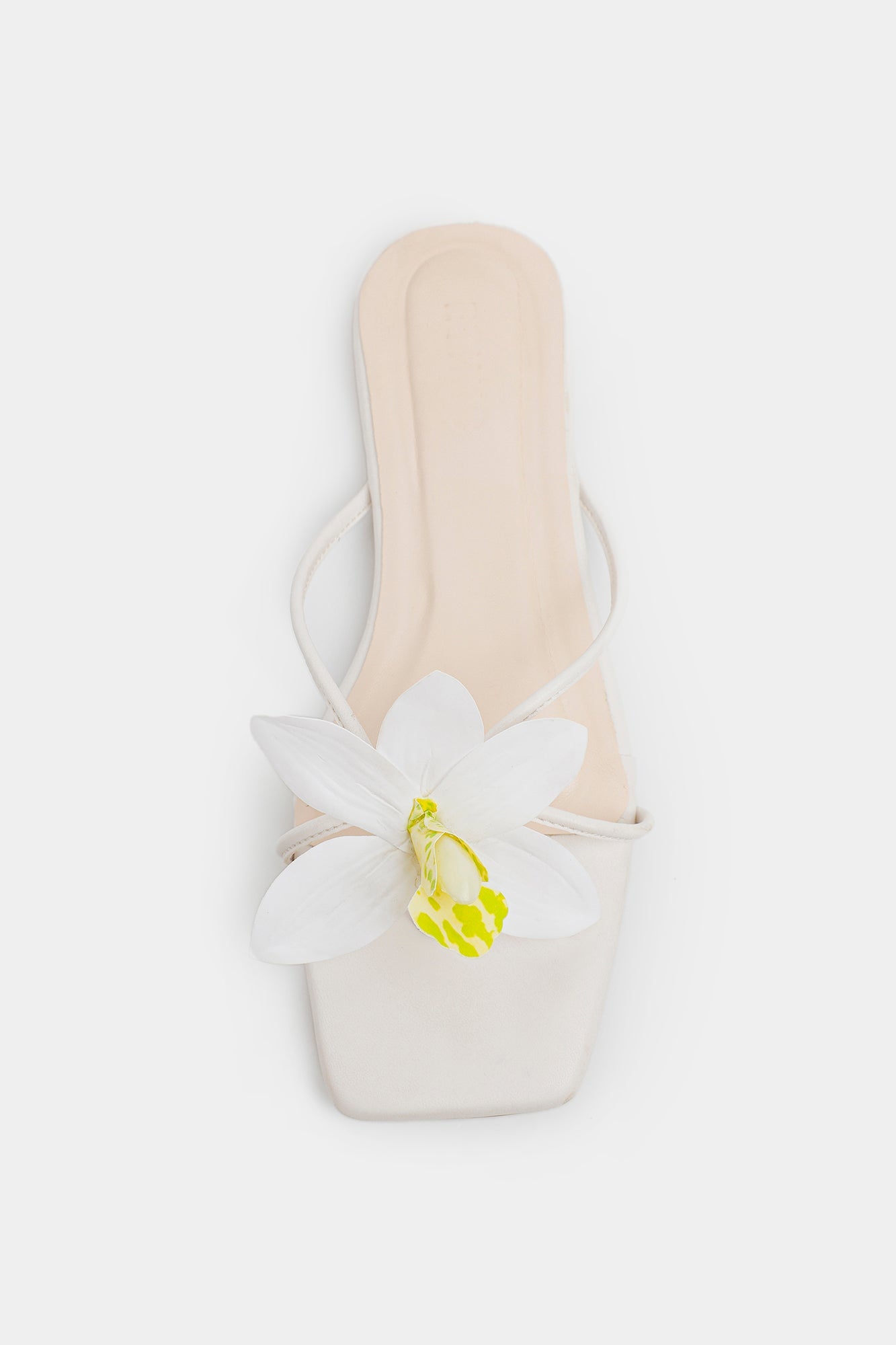 https://cdn.shopify.com/s/files/1/2290/7917/files/E1098-109-001_3.jpg?v=1770961135
