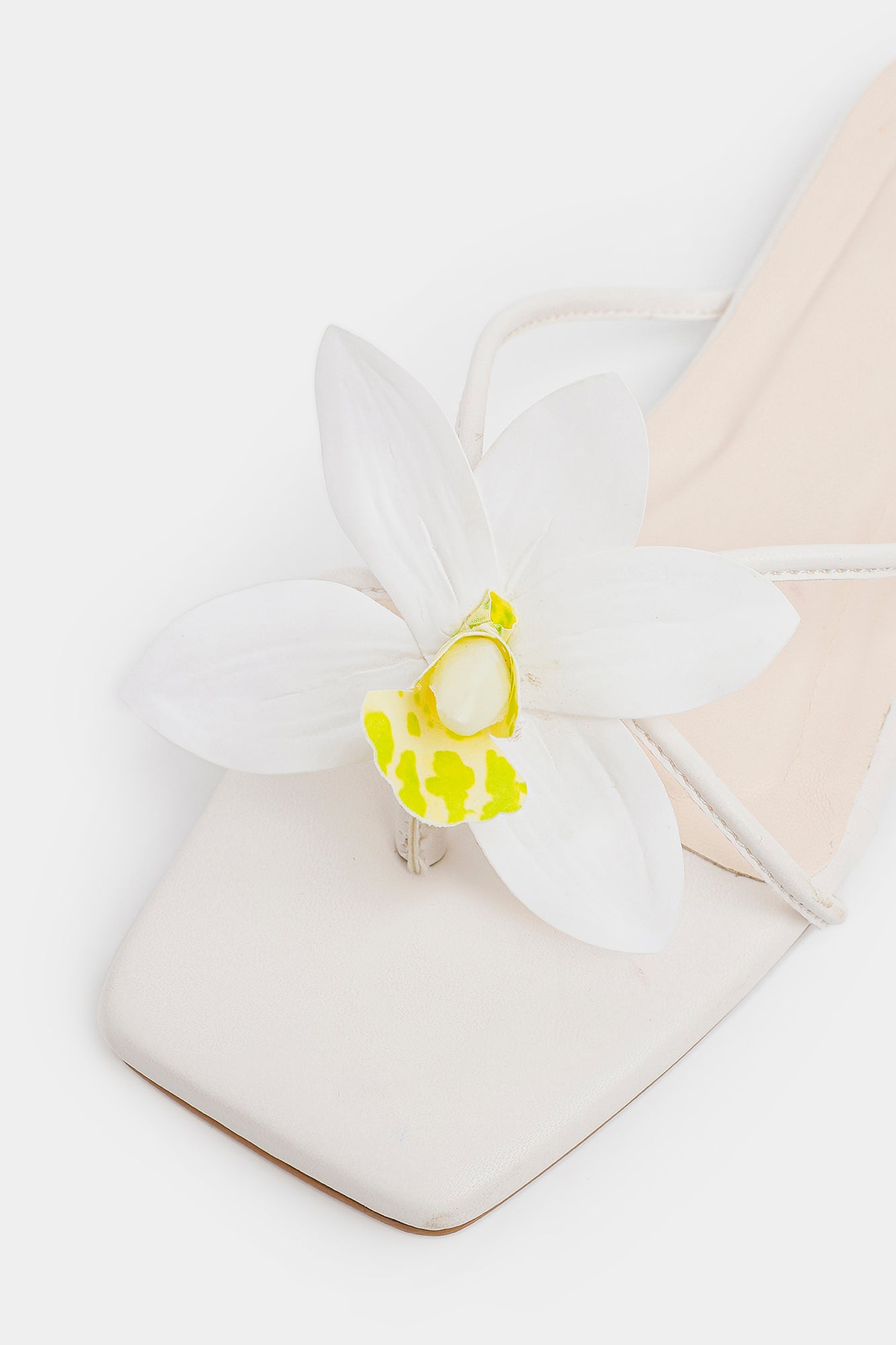 https://cdn.shopify.com/s/files/1/2290/7917/files/E1098-109-001_4.jpg?v=1770961135