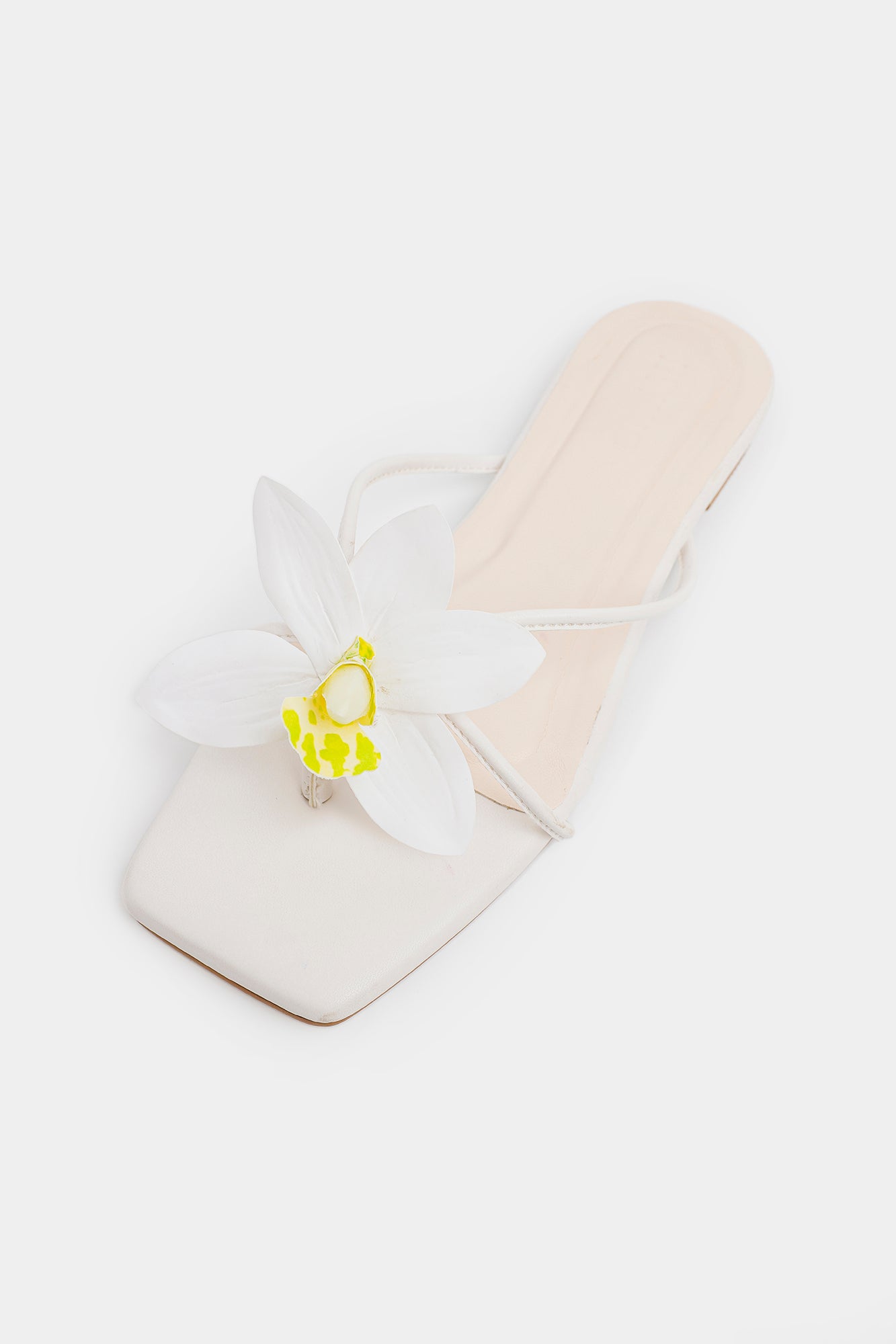 https://cdn.shopify.com/s/files/1/2290/7917/files/E1098-109-001_5.jpg?v=1770961135
