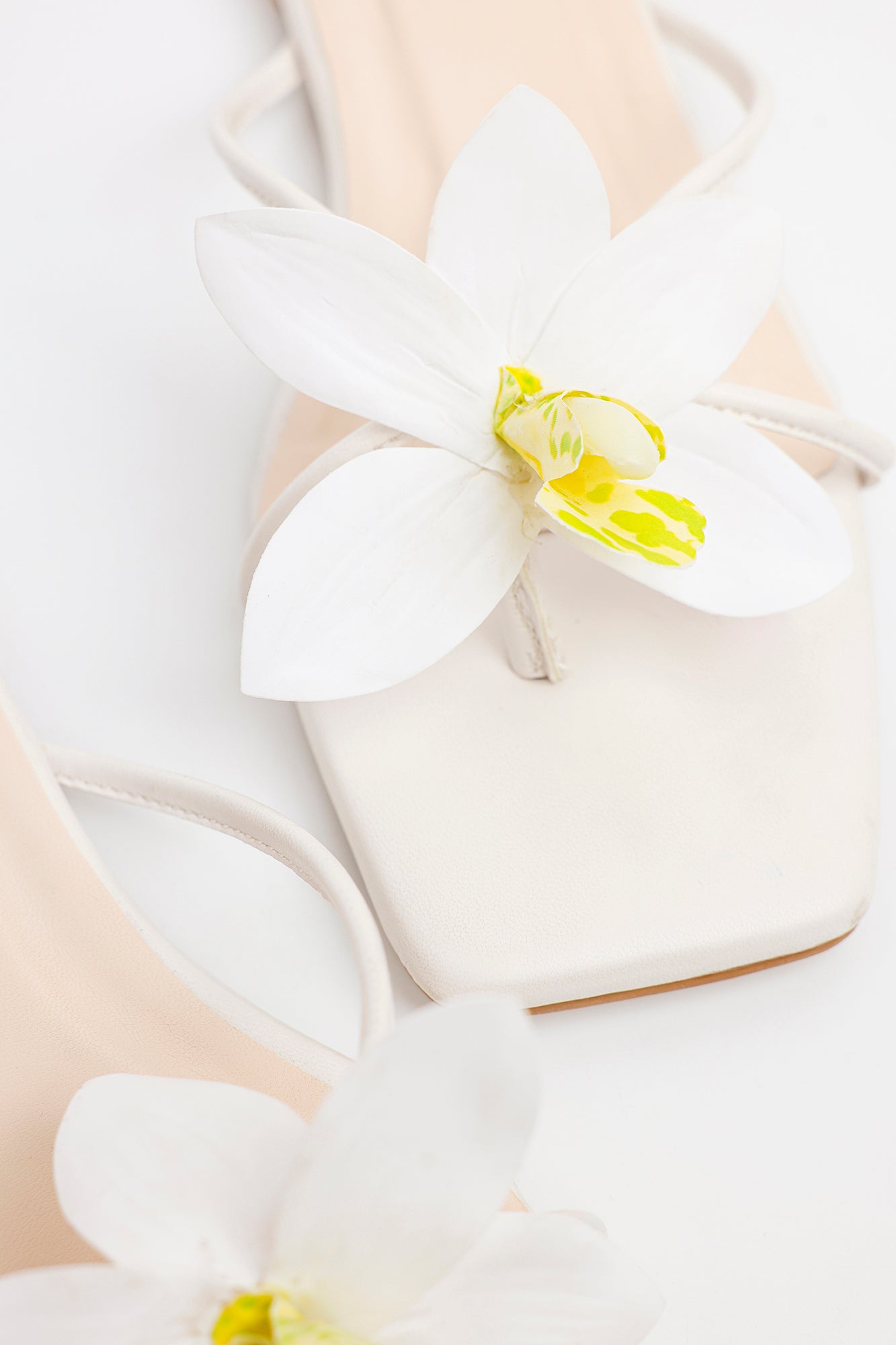 https://cdn.shopify.com/s/files/1/2290/7917/files/E1098-109-001_6.jpg?v=1770961135