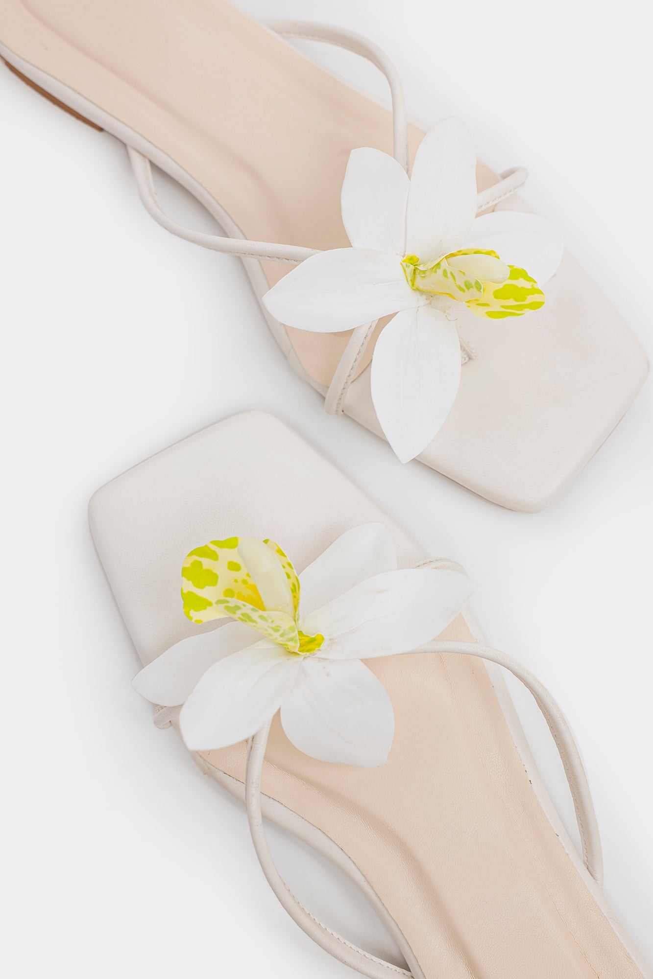 https://cdn.shopify.com/s/files/1/2290/7917/files/E1098-109-001_7.jpg?v=1770961135