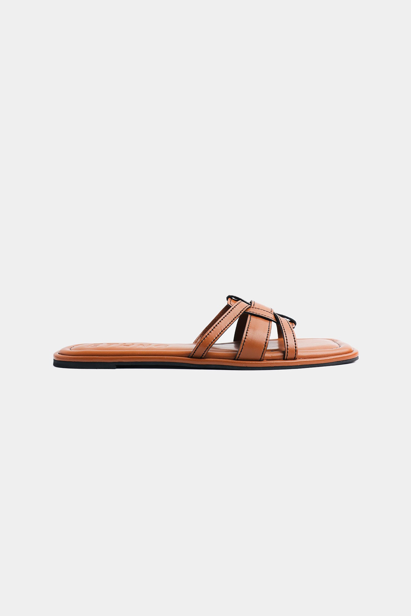 https://cdn.shopify.com/s/files/1/2290/7917/files/E1157-109-217_2.jpg?v=1770725428