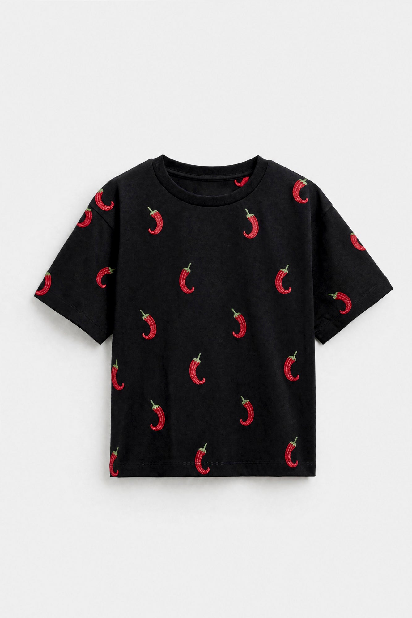 EMBROIDERED T-SHIRT (E1182-101-902)