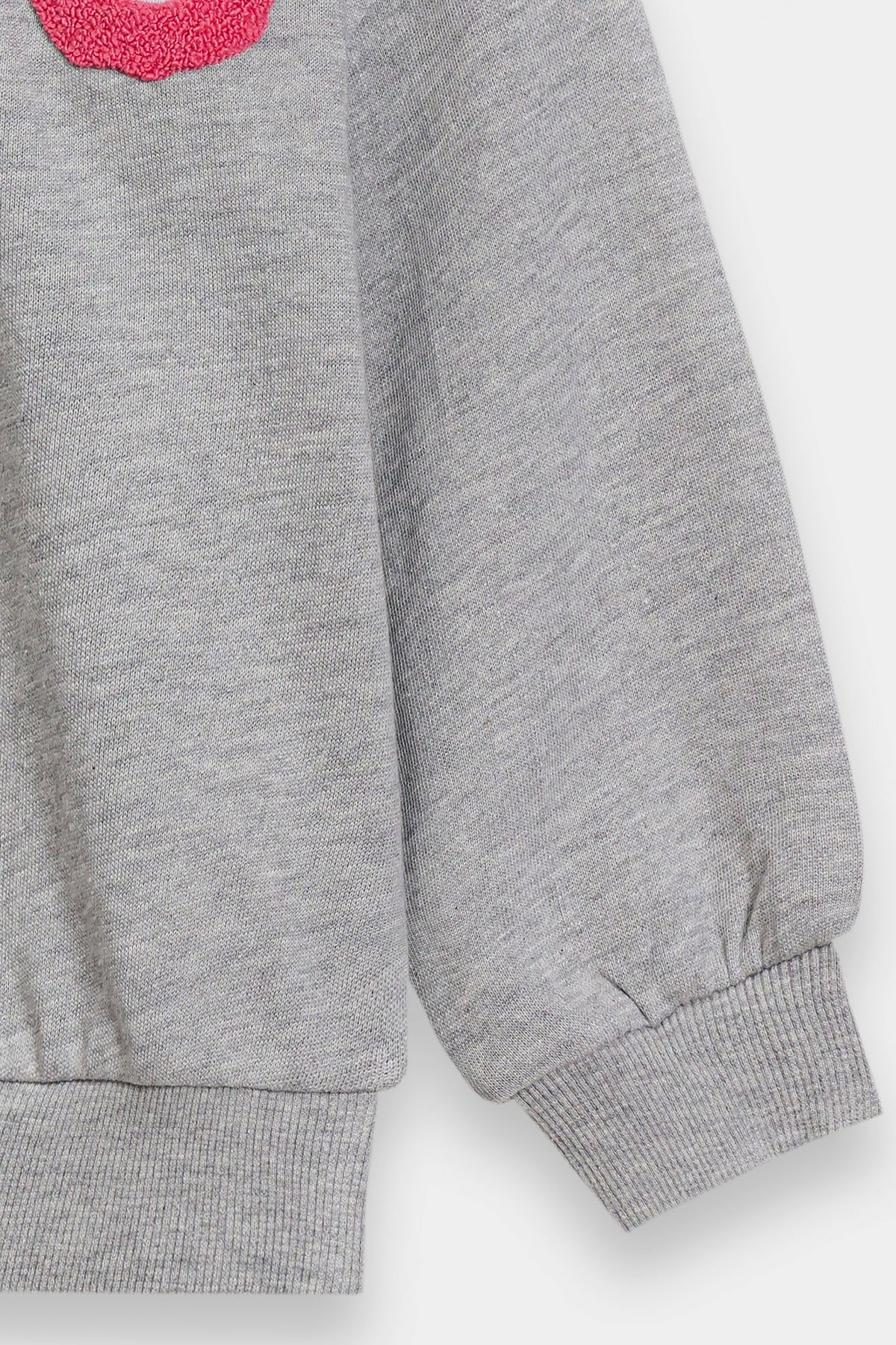 SWEAT SHIRT (E1810/301/915)