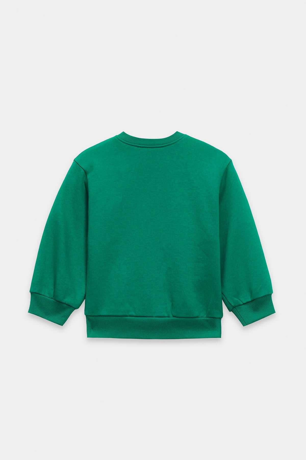 SWEAT SHIRT (E1814/301/710)