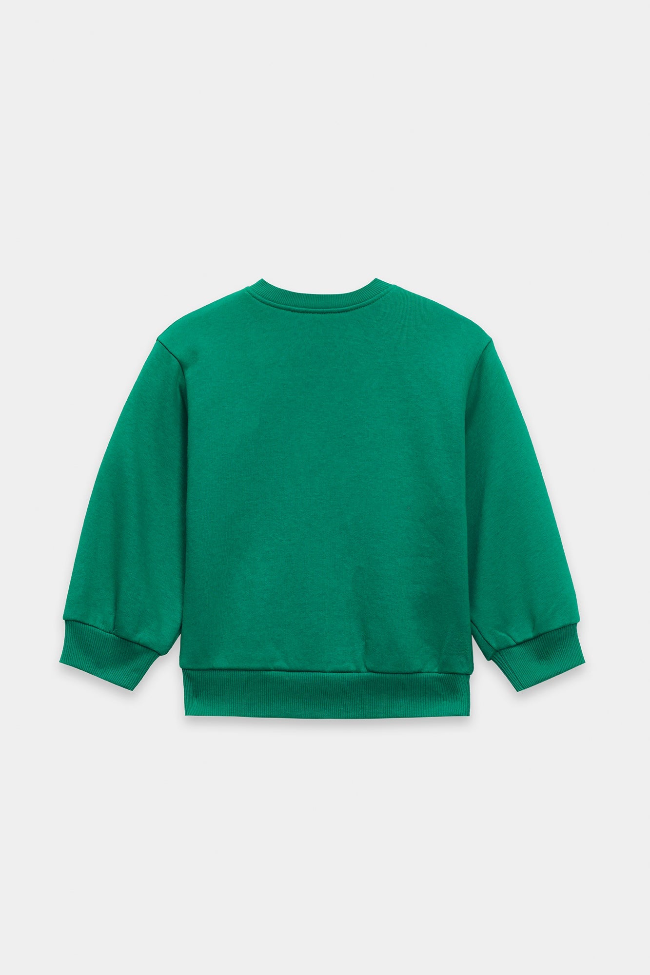 Sweat Shirt (E1814/301/710)