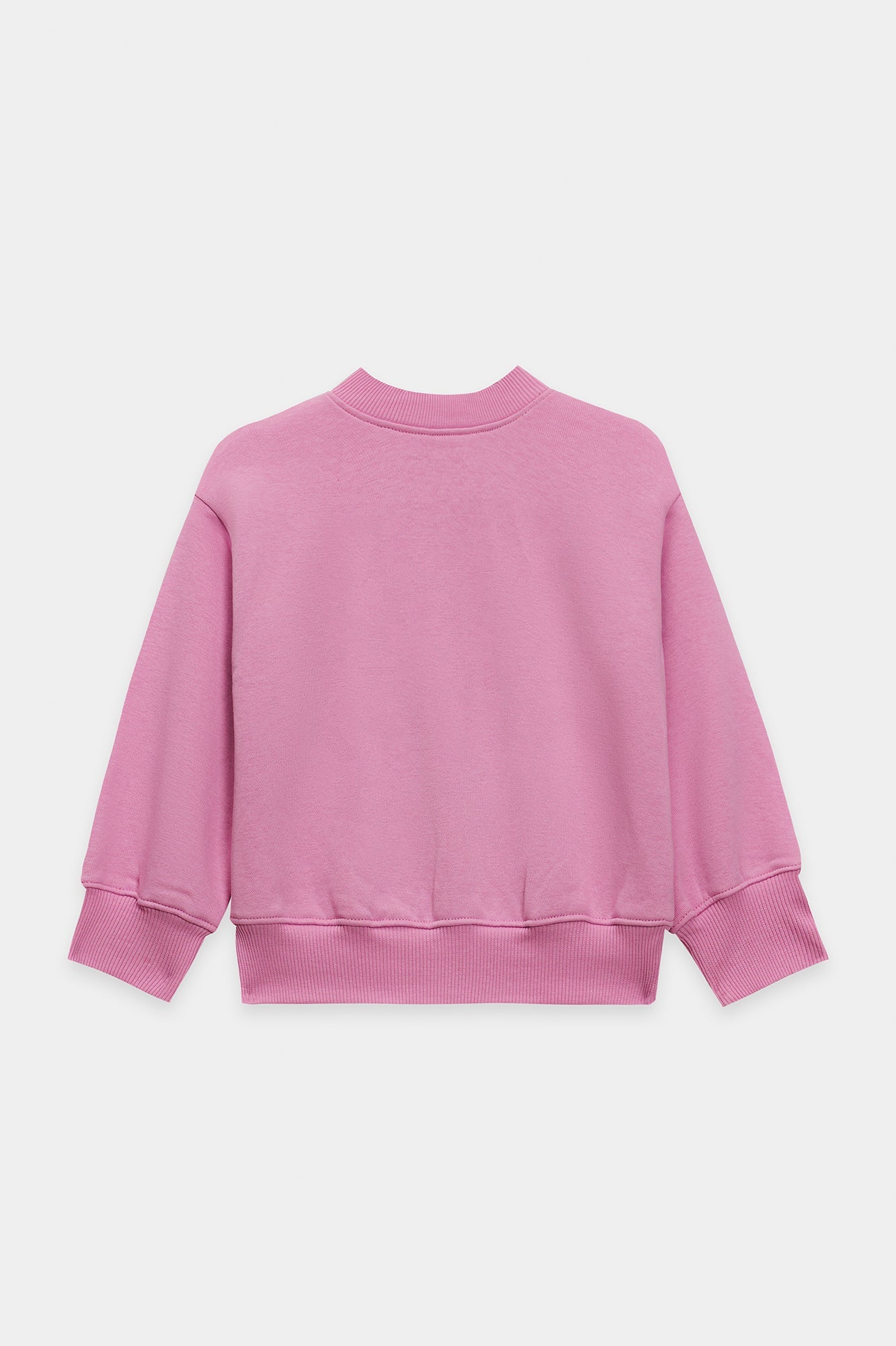 SWEAT SHIRT (E1818/301/529)